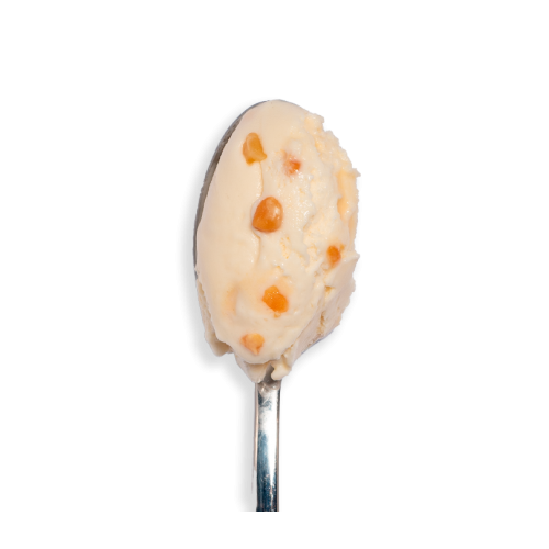 Glace Nougat de Montélimar