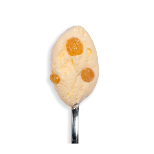 Glace Rhum Raisins