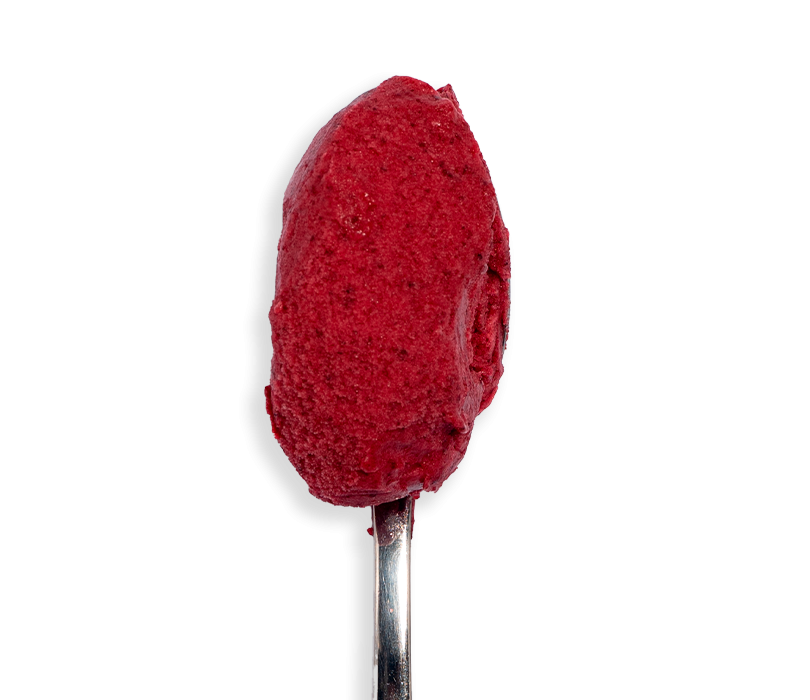 Sorbet Cassis Noir de Bourgogne