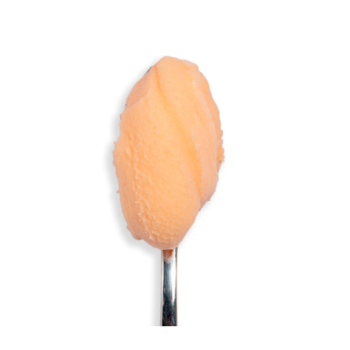 Sorbet Melon variété...