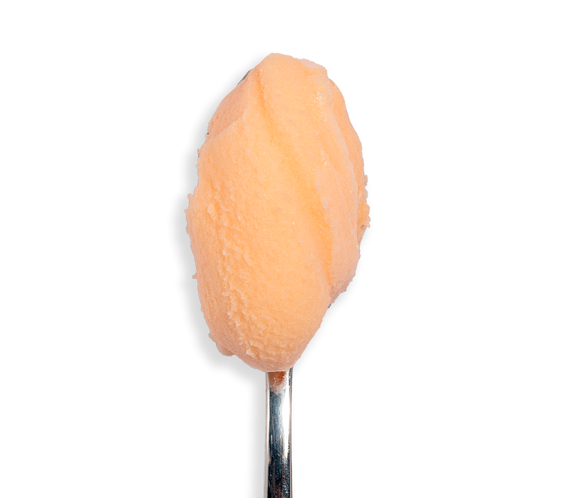 Sorbet Melon variété Charentais