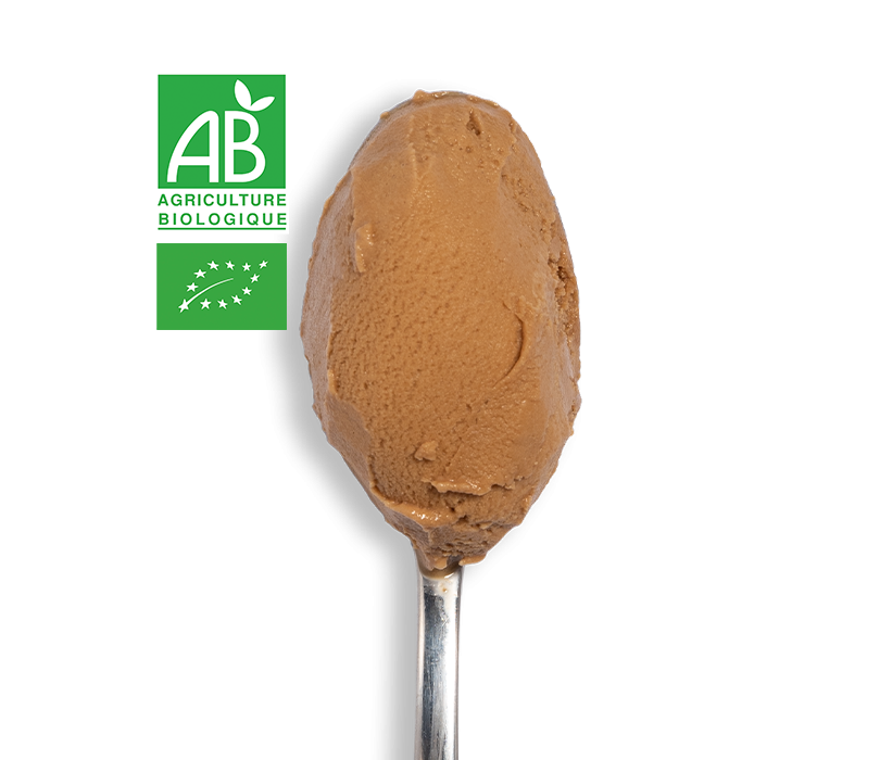 Glace Café Arabica Bio
