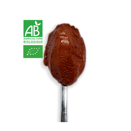 Glace Chocolat Noir BIO