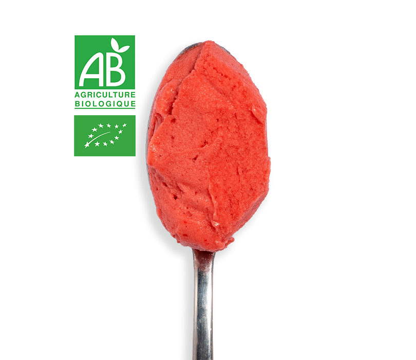 Sorbet Fraise BIO